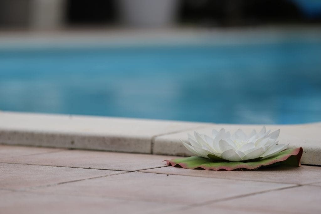 Piscine – L'importance des photos pour les agences immobilières