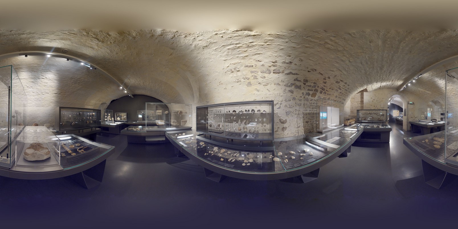 Muséum histoire naturelle La Rochelle Fossiles