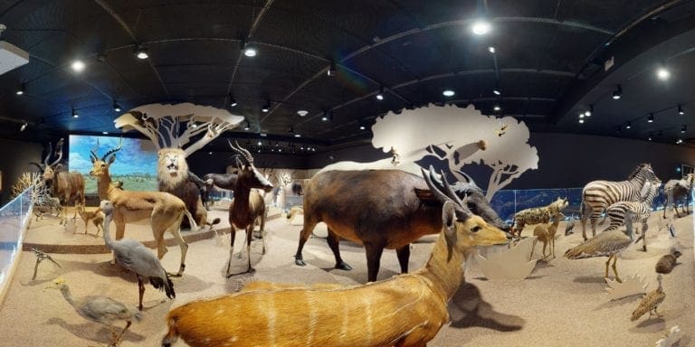 visite virtuelle de musée 3D