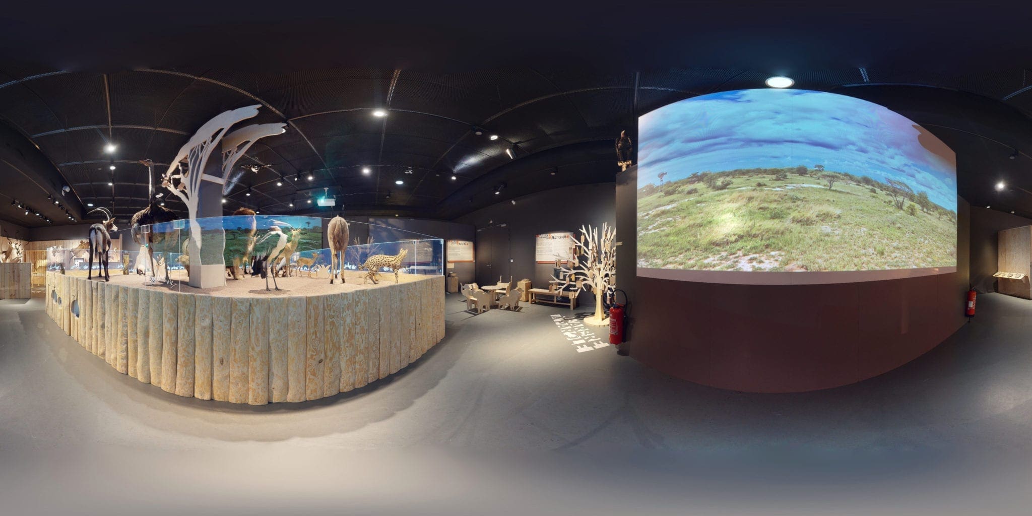 Museum-Bordeaux-360-pano