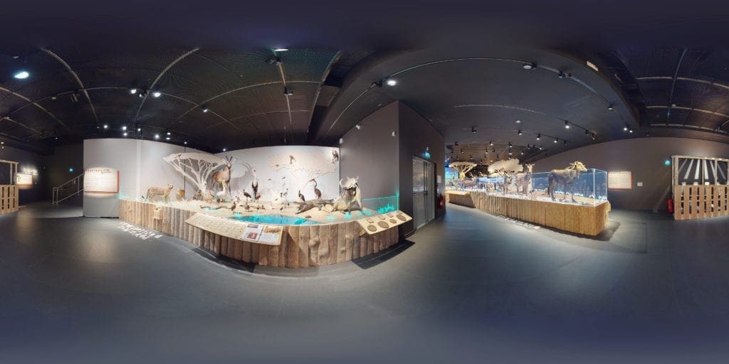 Museum-Bordeaux-360-pano-interactif