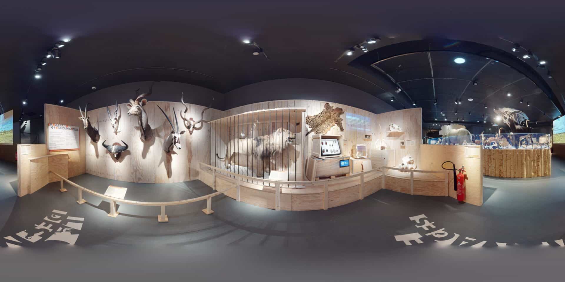 Il Permet De Visiter L'expo Tout Seul