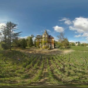 Bordeaux-360-vignoble