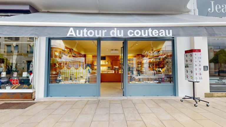 exemple visite virtuelle google street view commerce local