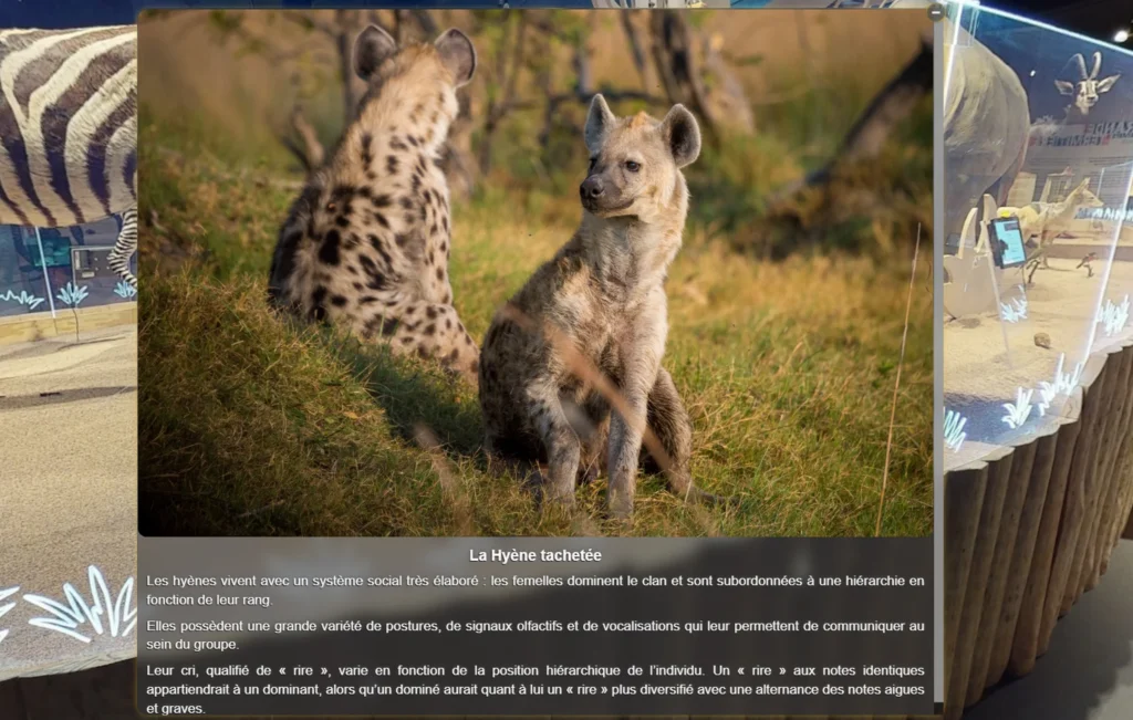 Hotspot intéractif permettant d'enrichir la visite virtuelle et donner lieu a un vrai outil pédagogique