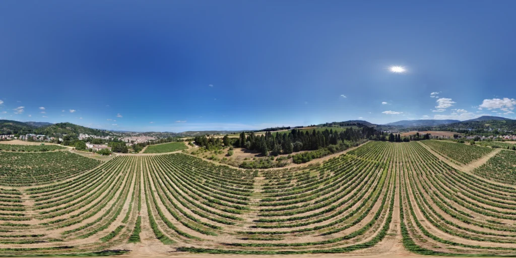 Visite virtuelle domaine viticole Maison Guinot en 360°